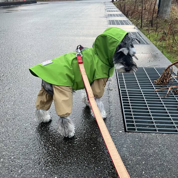 Fd621c93 a992 43c7 89f0 6f9fa7684e5f 1709472053467