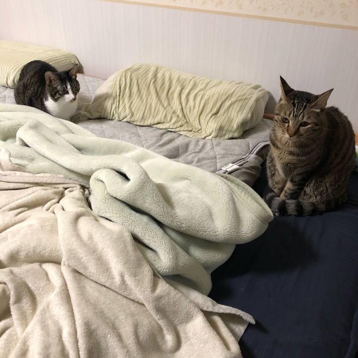 Fd62609f e444 4654 a138 fc8435627d67 1540536442930