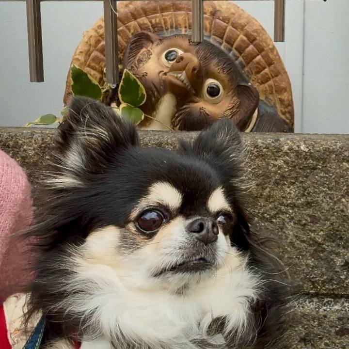 Fd6277f1 f4bd 42cd 883b 81a4eab41b10 1740733336856