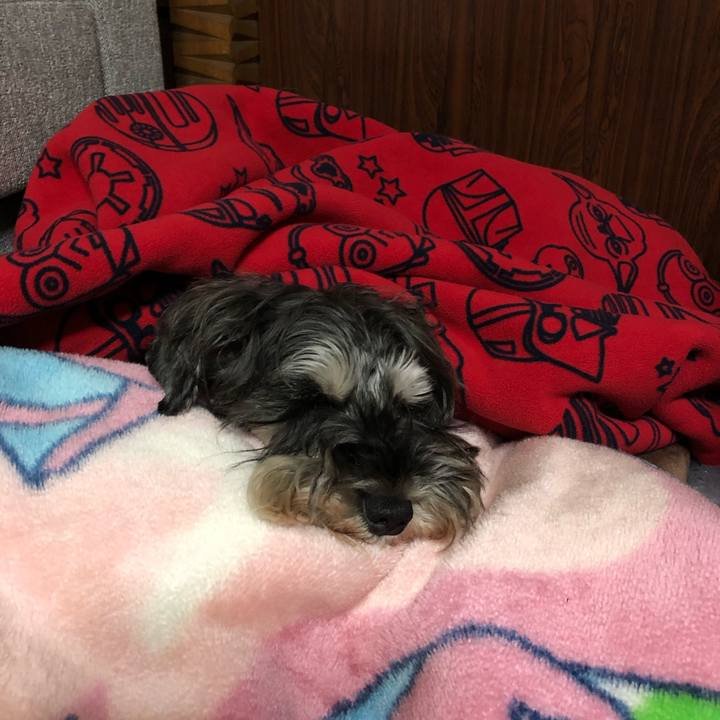 Fd628d64 8ba5 4673 953d c025adee55e1 1582638402600