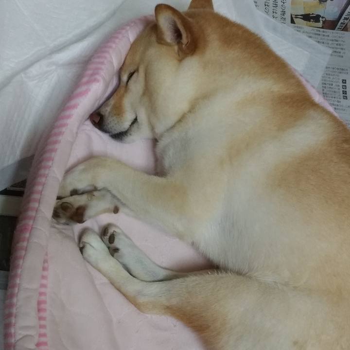 Fd629439 4d5b 4b1f 9007 33c507cbbcd8 1600433199440