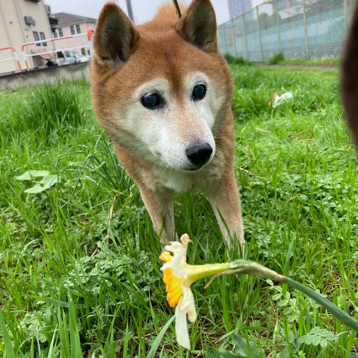 Fd62ff88 f494 4950 a108 b709d67cd3c5 1712274906745