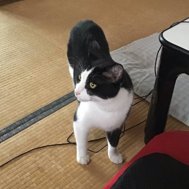 Fd630076 c996 4767 af77 7c0be4291f2d 1689338653462