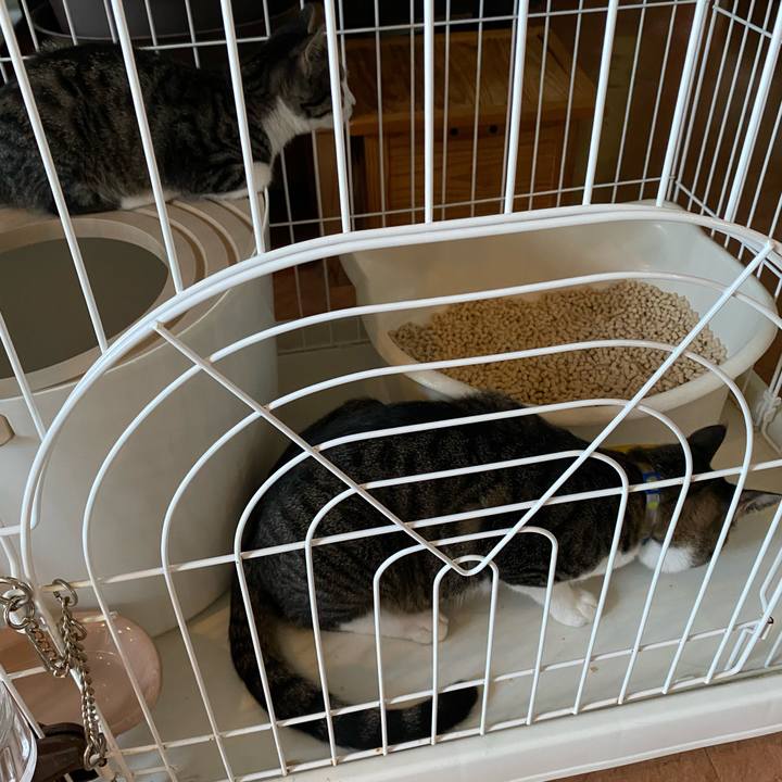 Fd630478 637c 472c afae dc086a0d13af 1693817026879