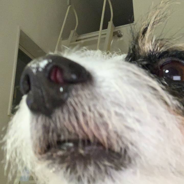 Fd635957 f3a1 4eb0 9629 66df500624e7 1667298526833