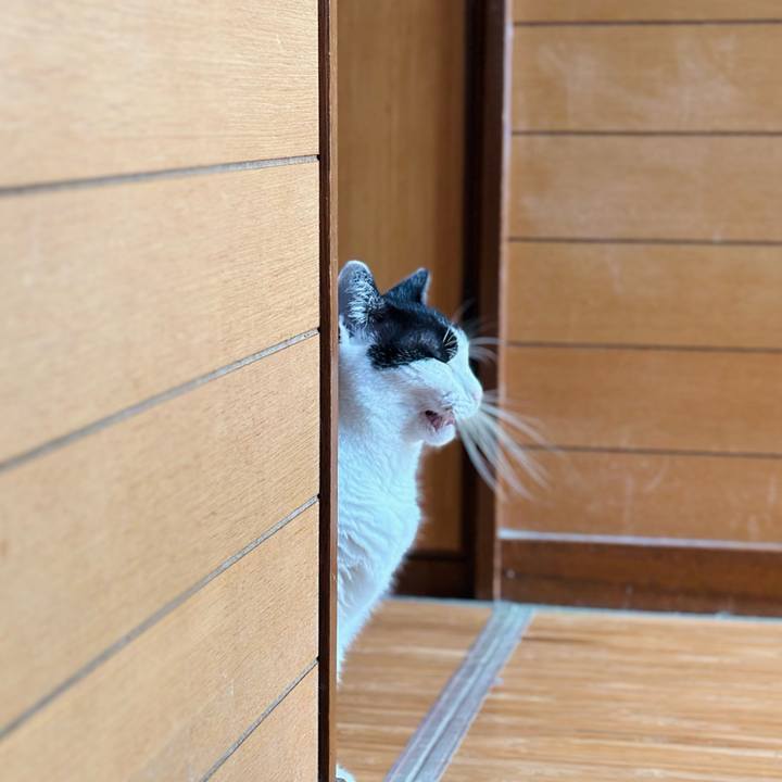 Fd63620e 5048 41f4 ad1a 8085fe002af5 1725498738369