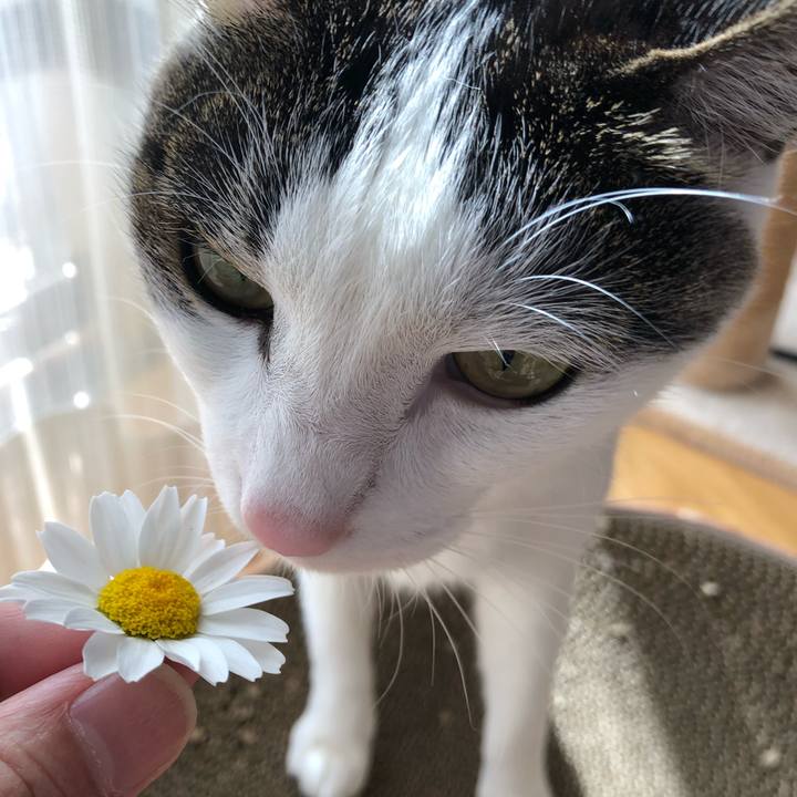 Fd636278 816c 43dc 8a43 694d83d51898 1681278010177