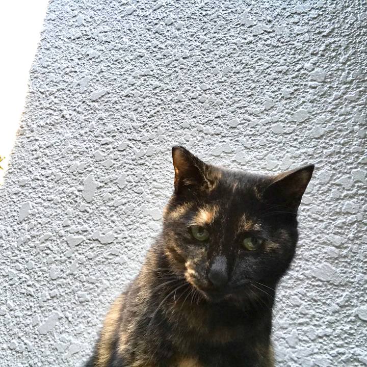 Fd637776 3033 42bf 9f54 128ecc688896 1510133216645