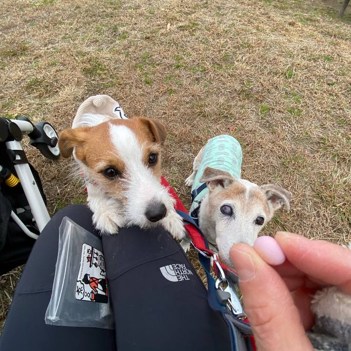 Fd638bb6 ed7c 42f3 8464 006fc0a2f9bd 1672722343534