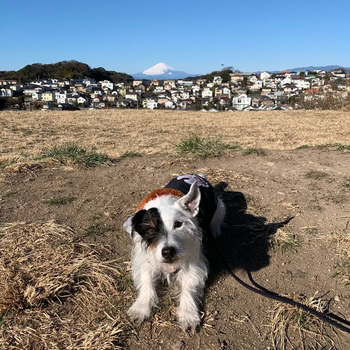 Fd639680 bc9e 4273 bacf a84e41eb8041 1706142376367