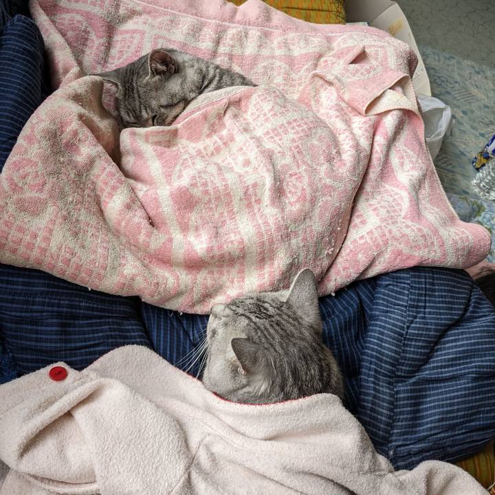 Fd63dd0c e4ef 4b2b 99ed 35024e15017c 1695273897291