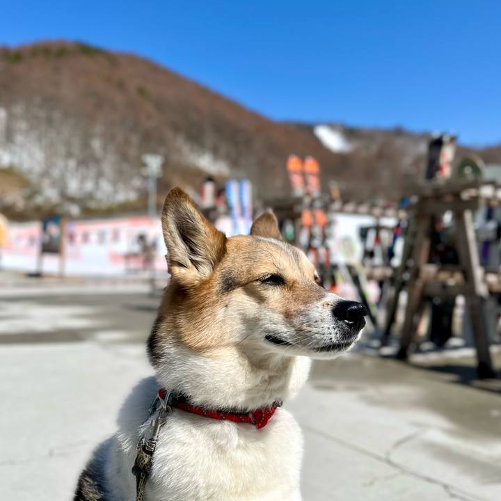 Fd63eedf 9f20 46a0 bced 963147a1c1e6 1772684169587