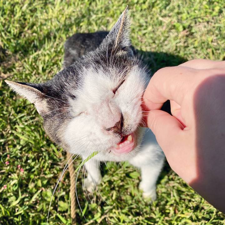 Fd6400d9 6e43 4fa2 baff 4d564e0fc9ce 1603955382124