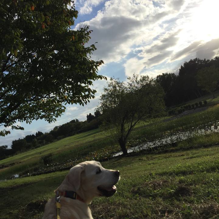 Fd641c6e d682 4b9b 8703 662726aac04a 1538467454178