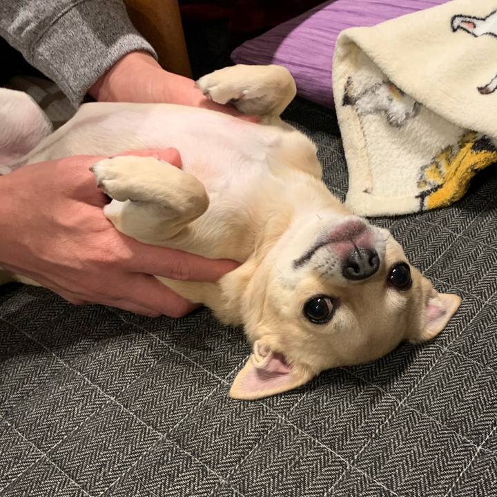 Fd642508 23e7 4ff8 a12f 06612cf4e089 1575969224203