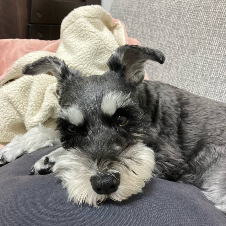 Fd642ab8 c70e 4624 86d6 c96a8edfb440 1762335044700