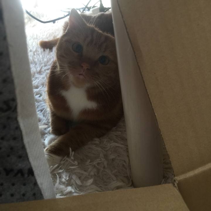 Fd64447b 0ecf 4eb8 b672 7b896f509290 1603503489563