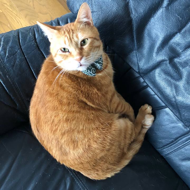 Fd645018 c1d8 4ce4 965f 57e0b2d881b0 1555656636180