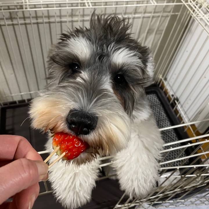 Fd6459e8 bfe8 4ab8 89de 82502d862599 1576503645903