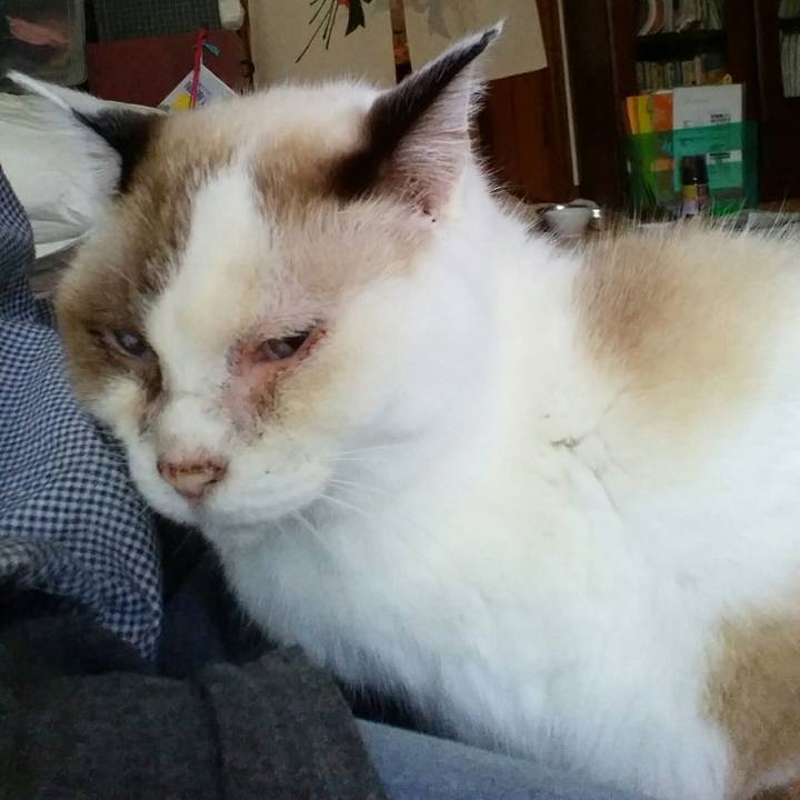 Fd646a15 47c3 407e 824c 90f61a075dce 1508298670609