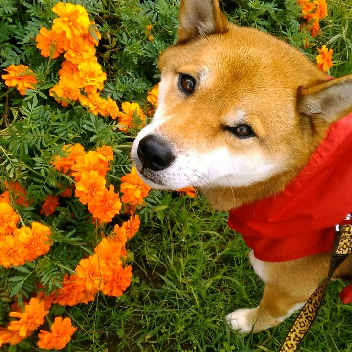 Fd647ba9 8f1c 488d b0ee 292369c0369c 1508462042813