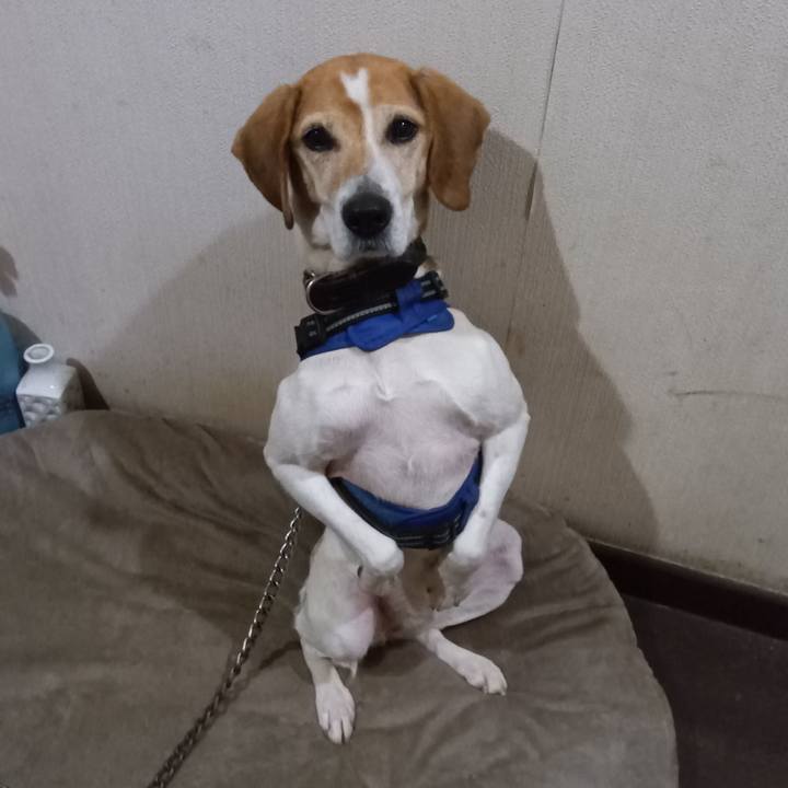 Fd647e5e 1463 432e 99b4 ebc78d05c124 1742814638304