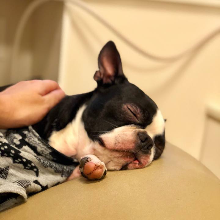 Fd64813e 172c 4eef b234 80d999618c30 1515486532934