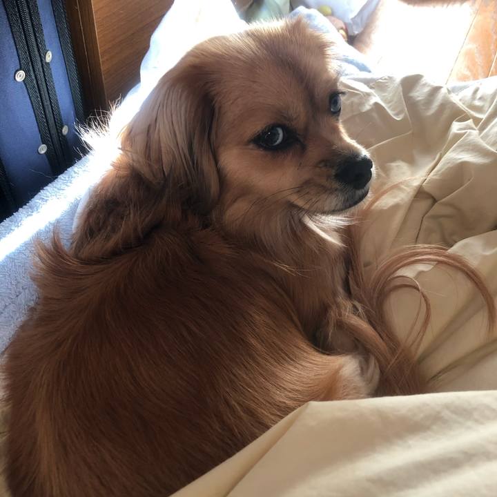 Fd64ad4f e5ca 45f9 b098 51229057b326 1542669186472