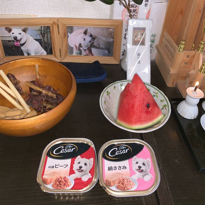 Fd64afae 9aa4 4b11 ae73 431e59f533da 1565699099761