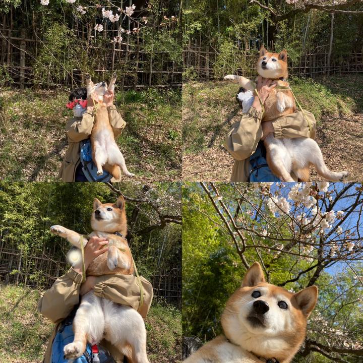 Fd64fba1 65bd 49f7 bade a1fe8face4f2 1679283056301