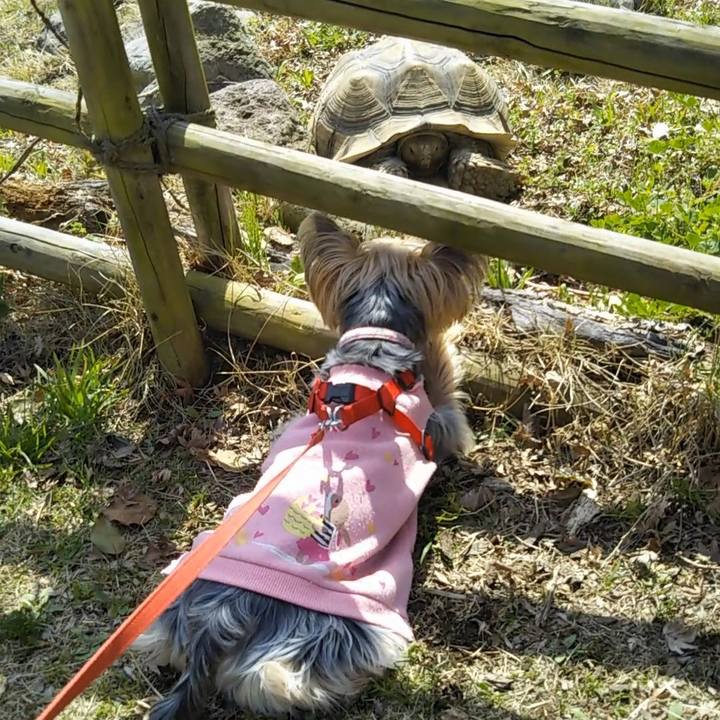 Fd650804 a14a 4bc1 9894 14e9cbf9e89a 1616556421133