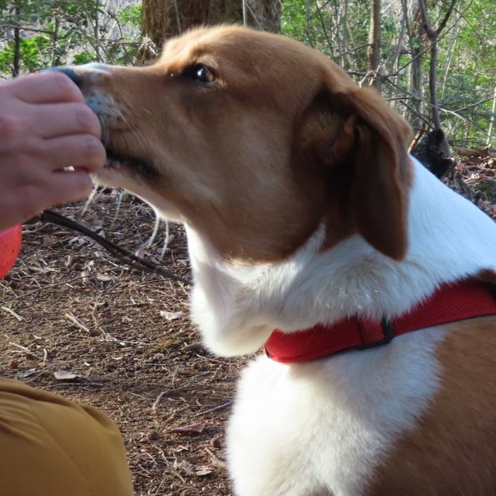 Fd650805 9fa1 43a8 a148 d06b0622ba40 1679035979979