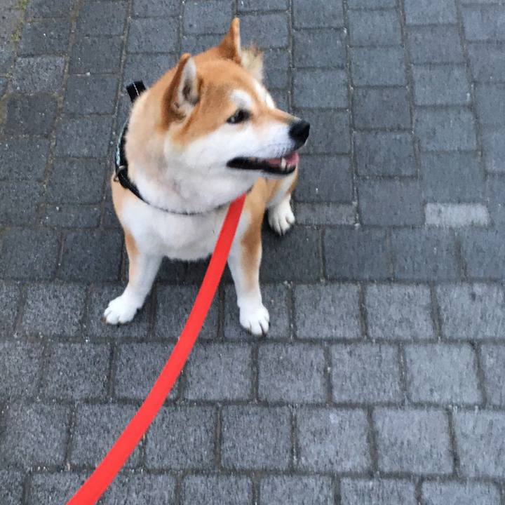 Fd650f07 b797 4acb 895f 1d0c6c7e973f 1591784796471