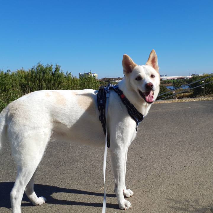 Fd651cea d9d5 4a7e 84c6 706faede6a76 1636174679323