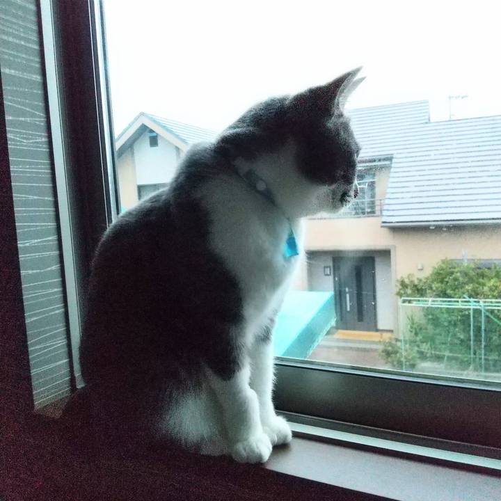 Fd652002 bcf8 4fbd b6f6 6e532b01ac1e 1649194679317