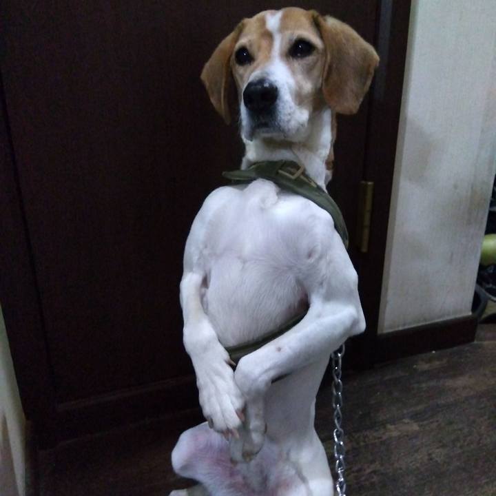 Fd653d8d 6685 41a6 95c6 fadc1d5a7418 1679489312107