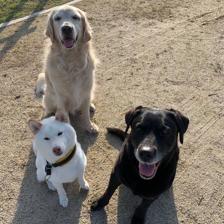 Fd65711c eba4 4ee0 a8b6 2933c9ee2313 1555716554837