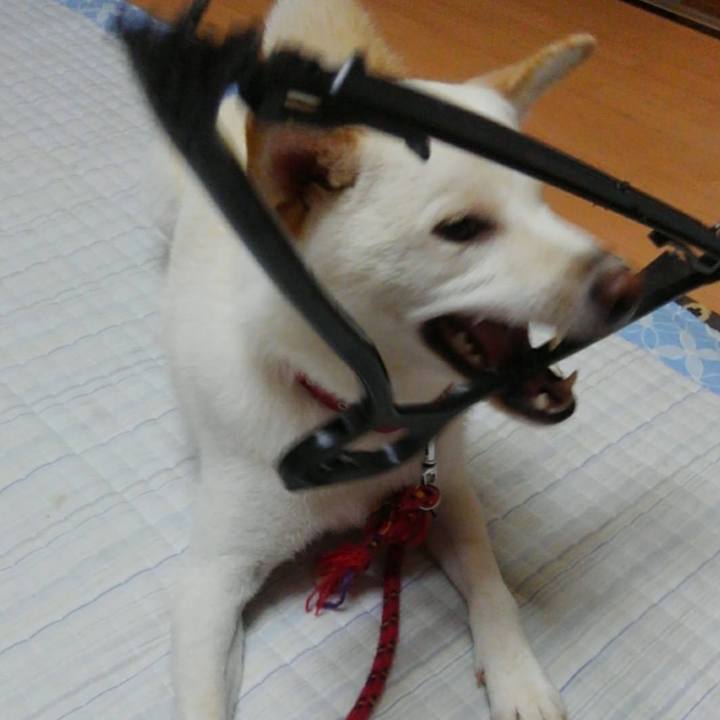 Fd65c9d7 afb3 4772 846d e1296a7793dc 1564814234208