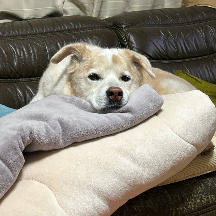 Fd65df49 01ba 4b36 a6cb 255b4a2e6664 1697183084887