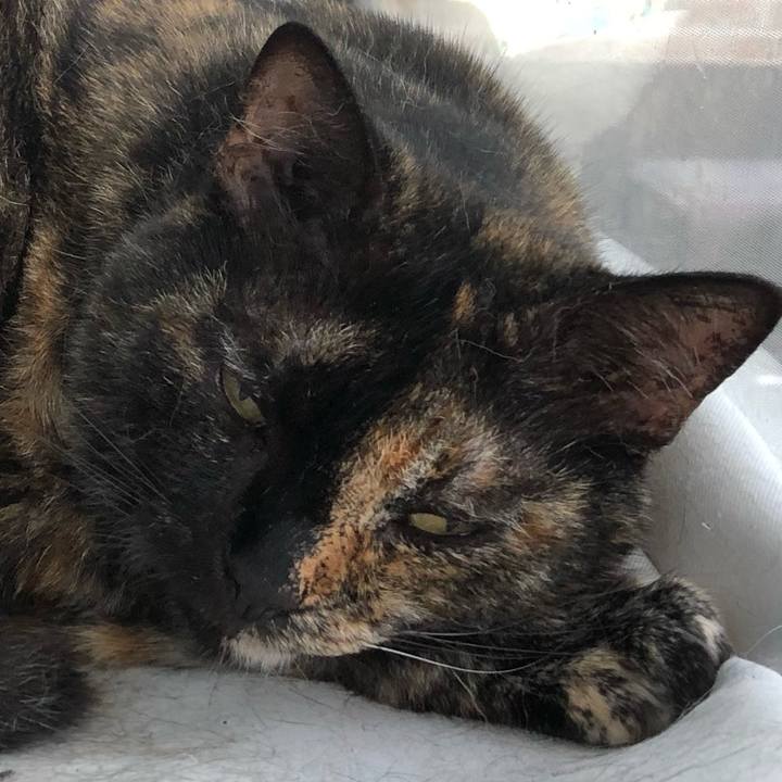 Fd65f17e 20b7 41fa b4a2 0bee3dea1d3b 1563172991000