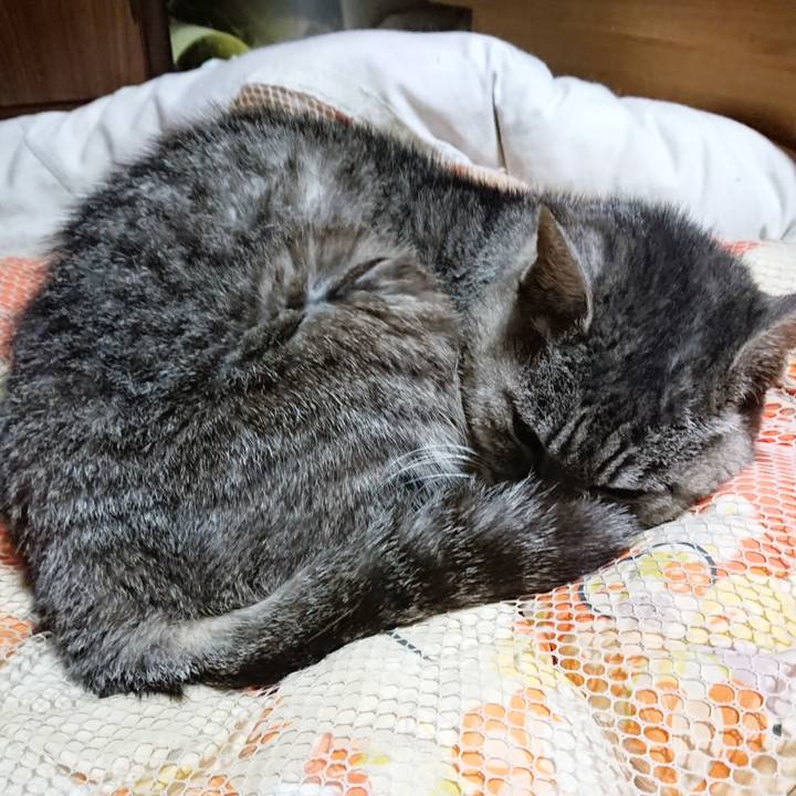 Fd660316 1311 4529 bca6 d1fc5c3ac3d1 1571745742950