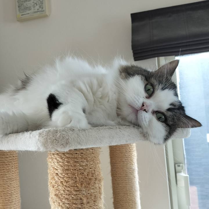 Fd660538 ca8d 4436 bf13 c7aa8f008719 1766797206913