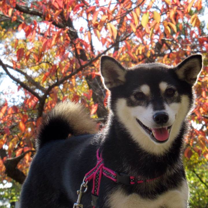 Fd6608c7 7c5c 42e9 9f24 adee7ece497c 1572831558824