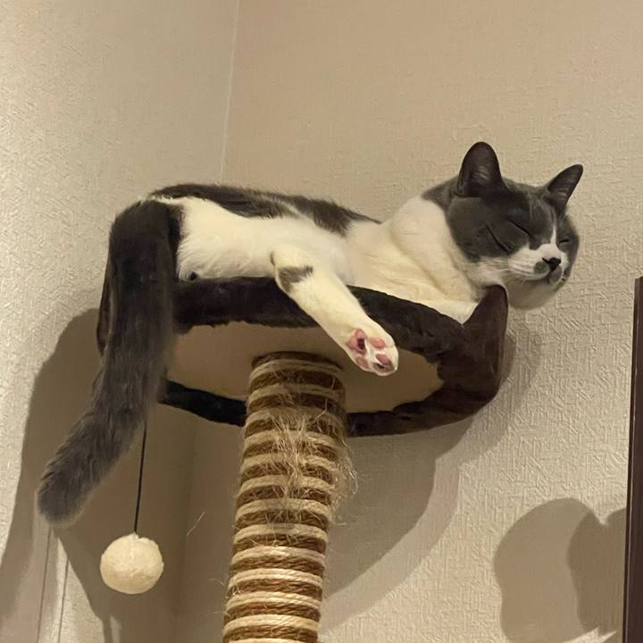 Fd66636e c388 4b30 81ef 3e14a34ef768 1711124657292