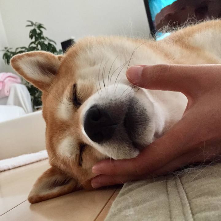 Fd66aeaf 202c 4201 b4ce 8a3c4605b02b 1535976642116