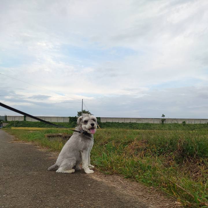 Fd6704fe f18b 4d18 9872 b26e9c69ceb3 1759659114782