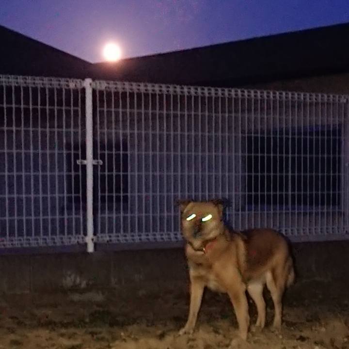 Fd670a21 f33c 48c3 ac64 1cf8d73c7bbb 1614478582895