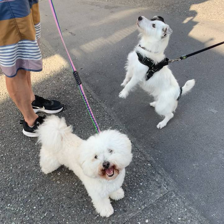 Fd6719b4 e1ad 435a a1d3 76843b5cfa09 1720047799934