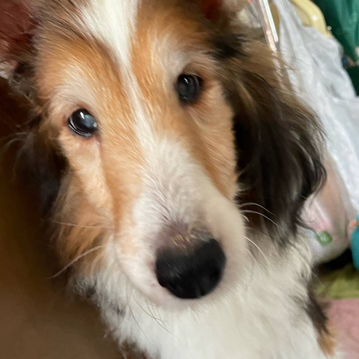 Fd674720 b119 4d0d ba34 e4aa8b0da071 1655306462557