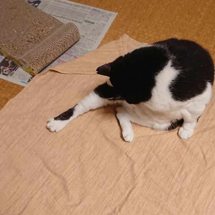 Fd674bb8 35fe 4f0c 9098 2535b617cfc7 1592870390498